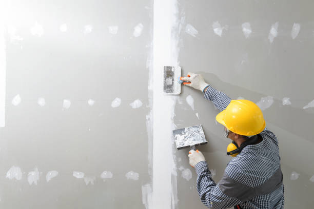 Best Wallpaper Removal and Painting  in Davenport, FL